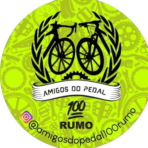 Logo 100 Rumo